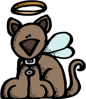 an angel kitty